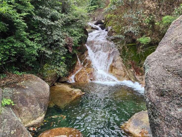 君子兰土壤有很多虫子怎么处理？